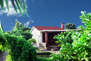 Jaagar the village resort in Corbet National Park 