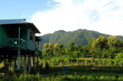 Get Best Tourist Information at Raimatang,  Dooars Jungle