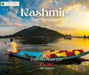 Celebrate Bliss in the Valley: Unveil the Best Kashmir Tour Packages w