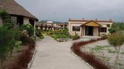 Best Resorts in Jim Corbett | Resorts for Corporate Outing