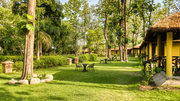 Escape to Nature: Bijrani Jungle Cottages Stay